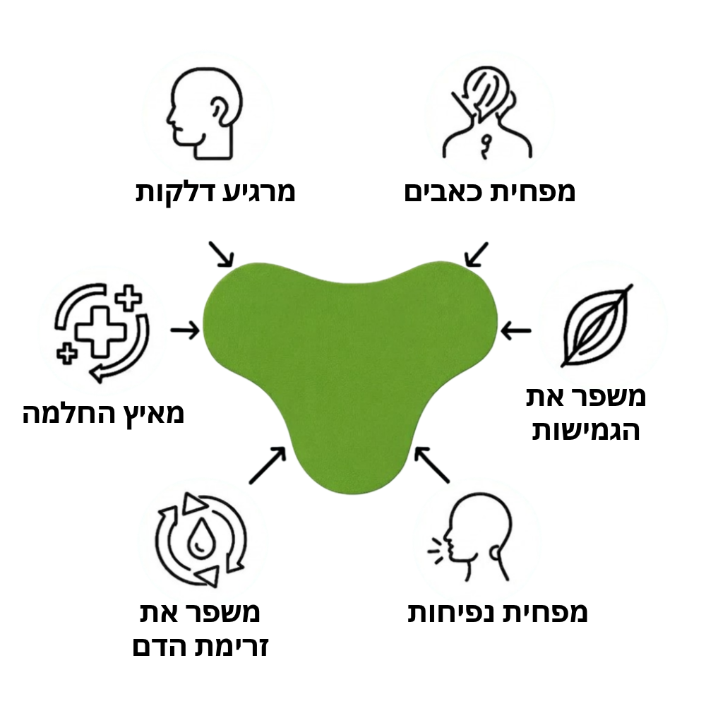 BAW מוצרים שחייבים בכל בית